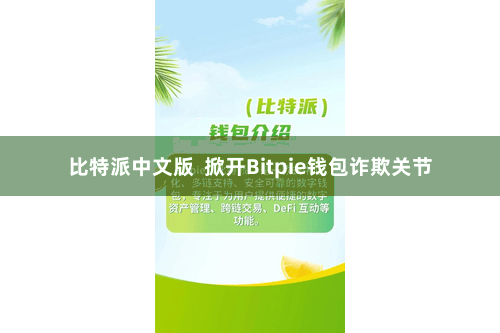 比特派中文版 掀开Bitpie钱包诈欺关节