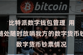比特派数字钱包管理  用户不错随处随时放哨我方的数字货币钞票情况