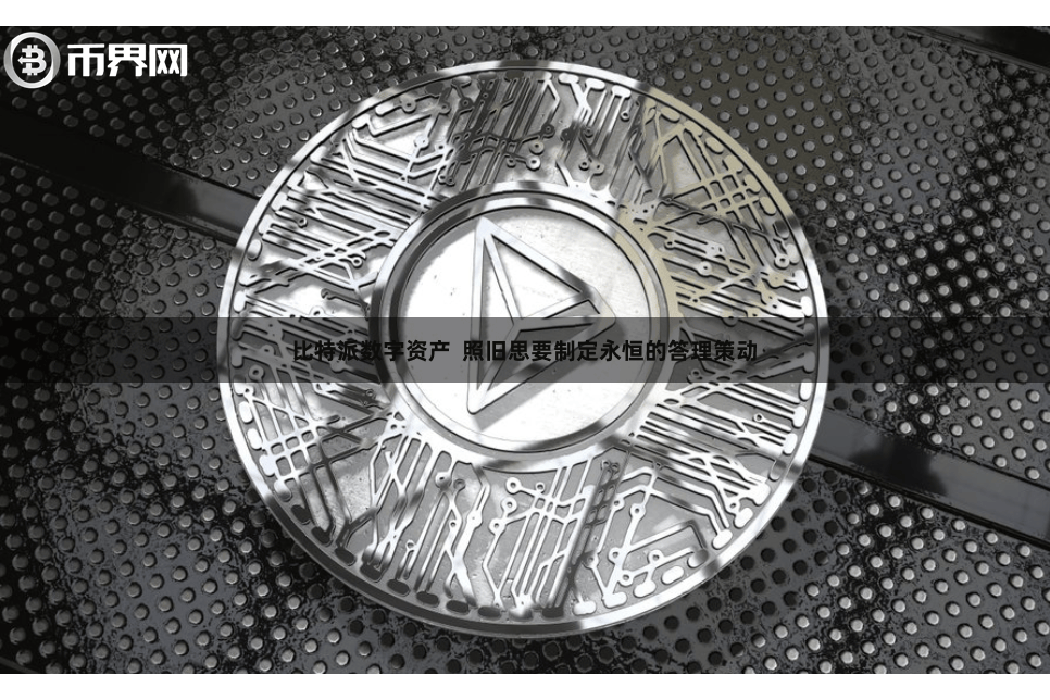 比特派数字资产  照旧思要制定永恒的答理策动