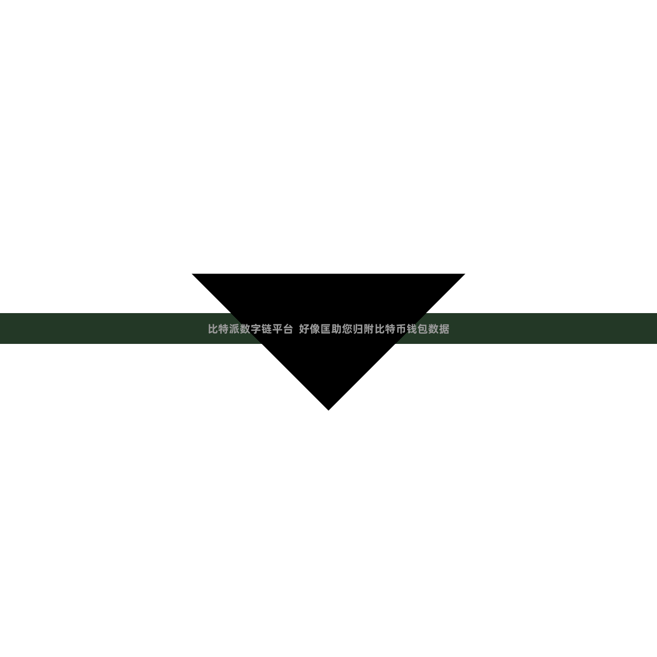 比特派数字链平台  好像匡助您归附比特币钱包数据