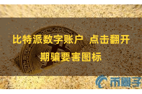 比特派数字账户  点击翻开期骗要害图标