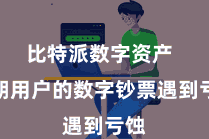 比特派数字资产  一朝用户的数字钞票遇到亏蚀