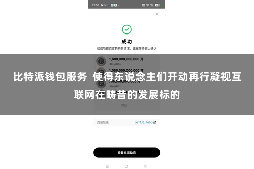 比特派钱包服务  使得东说念主们开动再行凝视互联网在畴昔的发展标的