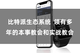 比特派生态系统  领有多年的本事教会和实战教会